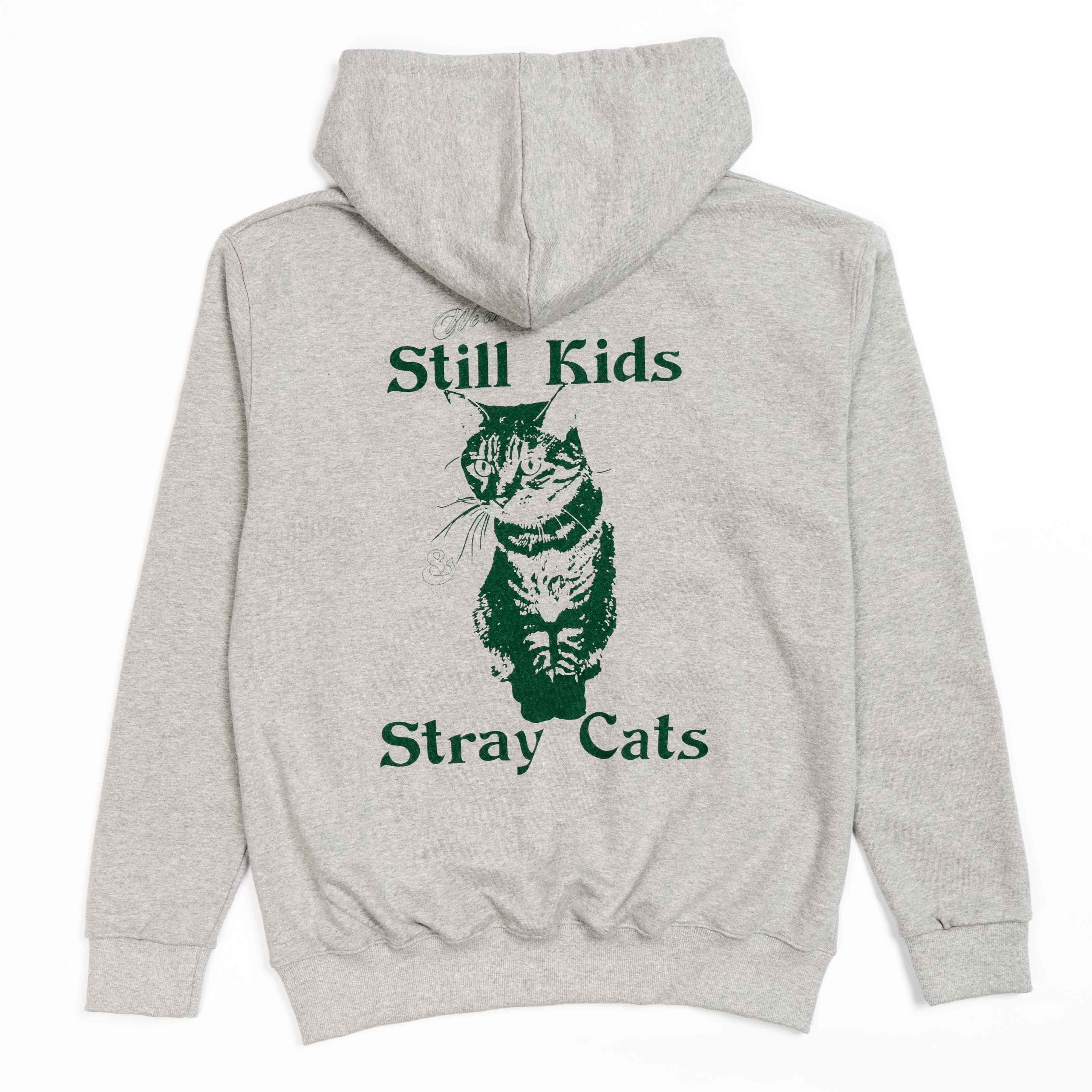 we are still kids & stray cats Hoodie 