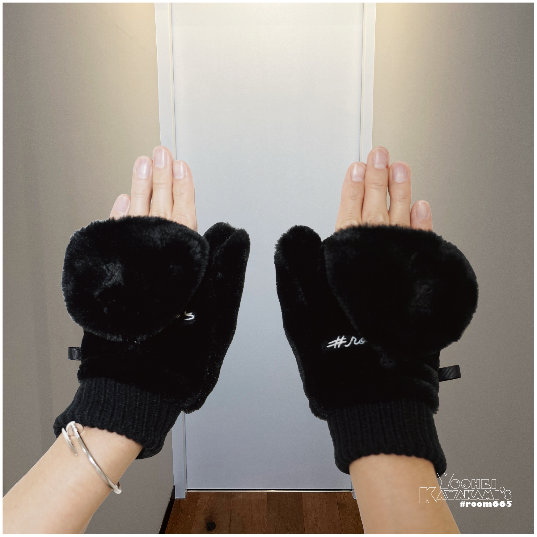 room665 2024 FUR GLOVES | [Alexandros] | ［Alexandros