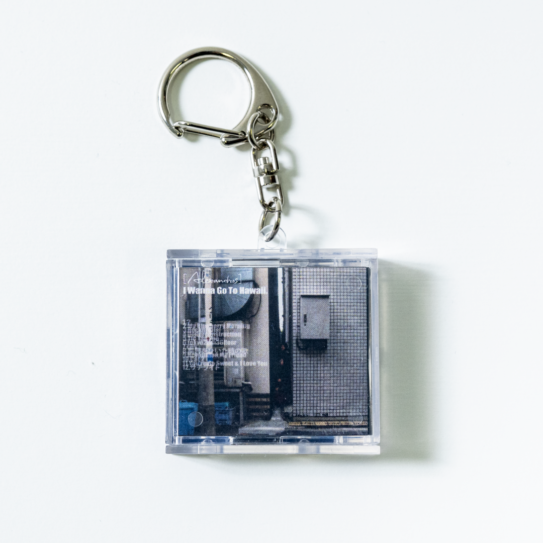 ACCESS ALL AREA CD KEYCHAIN（2type）
