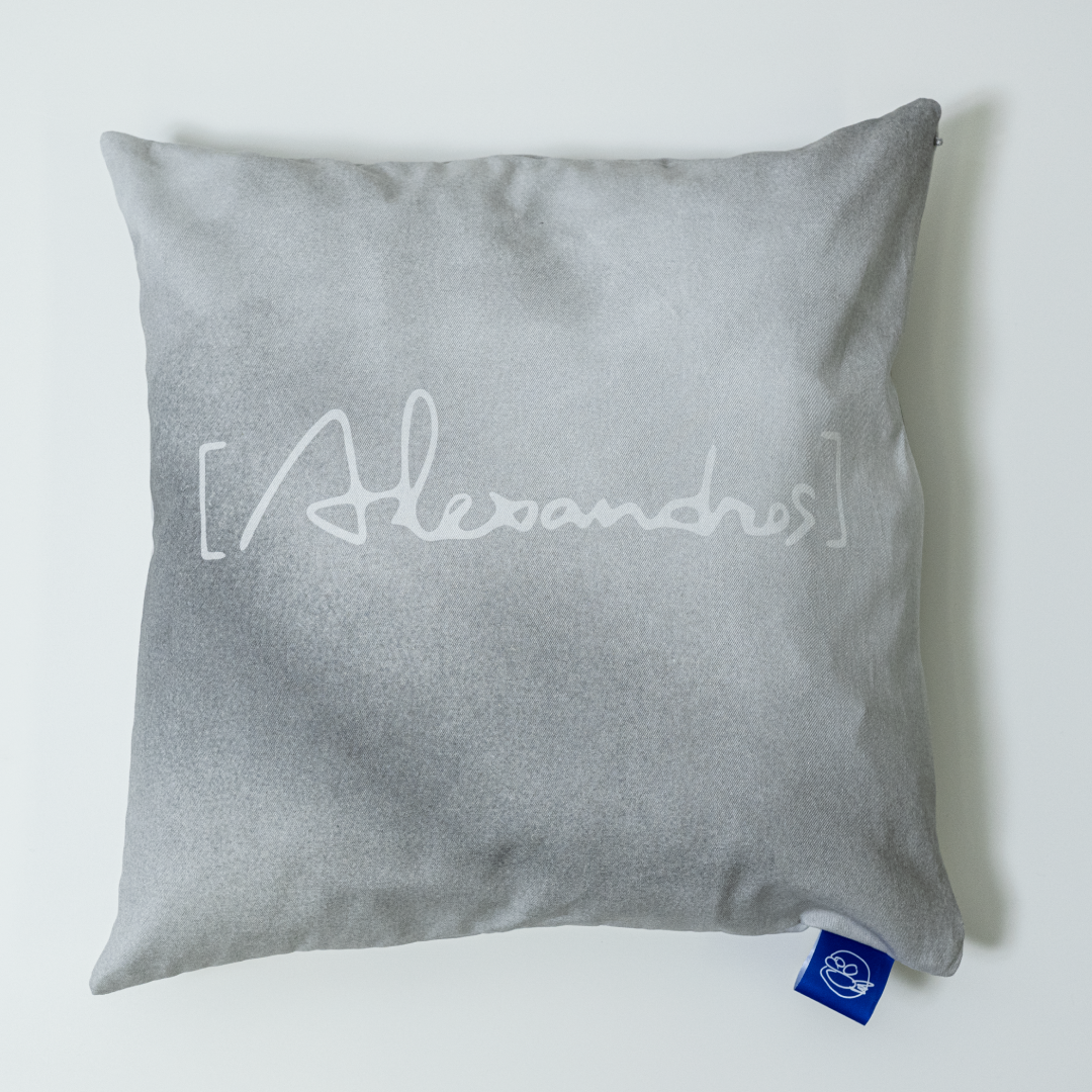 ACCESS ALL AREA CUSHION COVER | [Alexandros] | ［Alexandros